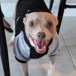 Photo of Jacko & Ember Moon