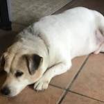 Photo of Mr Paparazzi