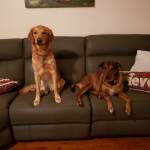 Photo of Cooper & Jack