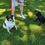 Photo of Mia and Opal