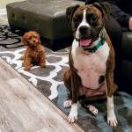 Photo of Shelby, Maggie & Xena