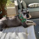 Photo of Paws and Claws - Tallahassee