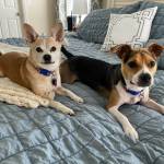 Photo of Mubo & Lupin