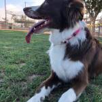 Photo of Remi / Cash