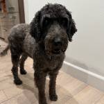 Photo of Uli / Heidi / Lily