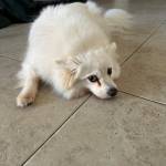 Photo of Charlie / Wynnie