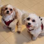 Photo of Cooper & Casey