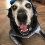 Photo of Sadie & Foot