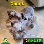 Photo of Chunk