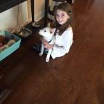 Photo of Toast & Sandy