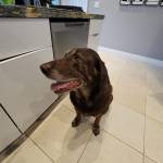 Photo of Luna, Jack and Andy