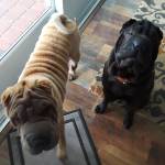 Photo of Iya and Ella