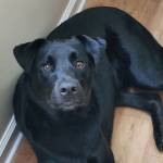 Photo of Curtis & Zoey