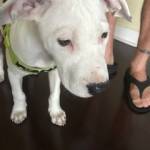 Photo of Leroy and Sweet Caroline