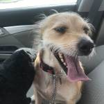 Photo of Remi & Rufas