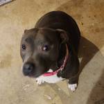 Photo of Khalisee - Brady