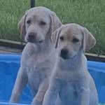 Photo of Kensi and Jovi