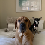 Photo of Clark/Tessa