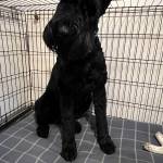 Photo of Archer / Jade