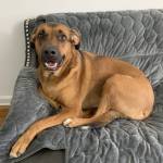 Photo of Kirby and Mimi