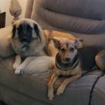 Photo of Judy & Jury