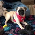Photo of Zoe