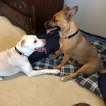 Photo of Bryson and Alaia