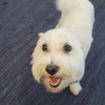 Photo of Wally & Wilbur