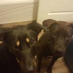 Photo of Kai, Hikari