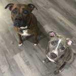 Photo of Athena & Artemis