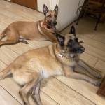 Photo of Rainger & Sanna