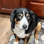 Photo of Rose / Emma