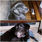 Photo of Shadow & Blue