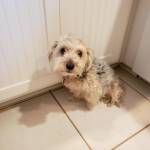 Photo of Georgia & Mollie