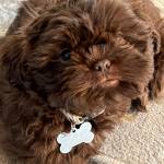 Photo of Finn / Oliver