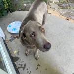 Photo of Blue / Muanna