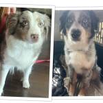 Photo of Faith & Remmington