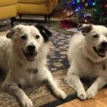 Photo of Po and Cas