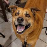 Photo of Jameson & Bailey