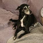 Photo of Luna & Lexi