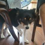 Photo of Duke & Duchess