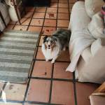 Photo of Murphy & Molly