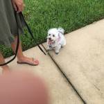 Photo of Karina Ward