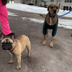 Photo of Stella & Brady