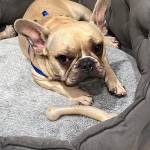 Photo of Bella / Kayee