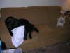 Photo of 