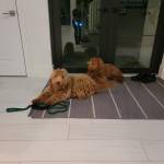 Photo of Emmie and Charleigh