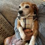 Photo of Winston / Willy