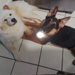 Photo of Brando and (Colonel) Hogan