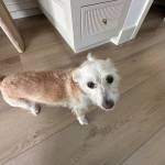 Photo of Archie / Ellie